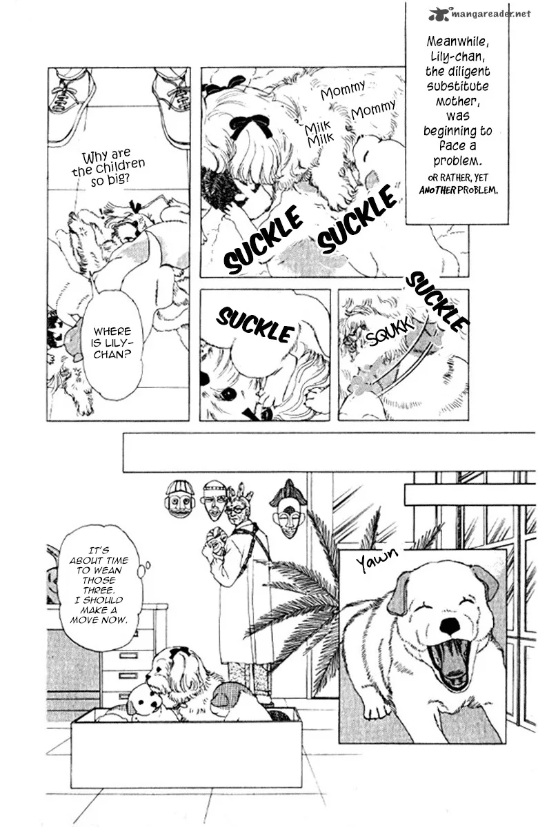 Doubutsu no Oishasan Chapter 72 page 21