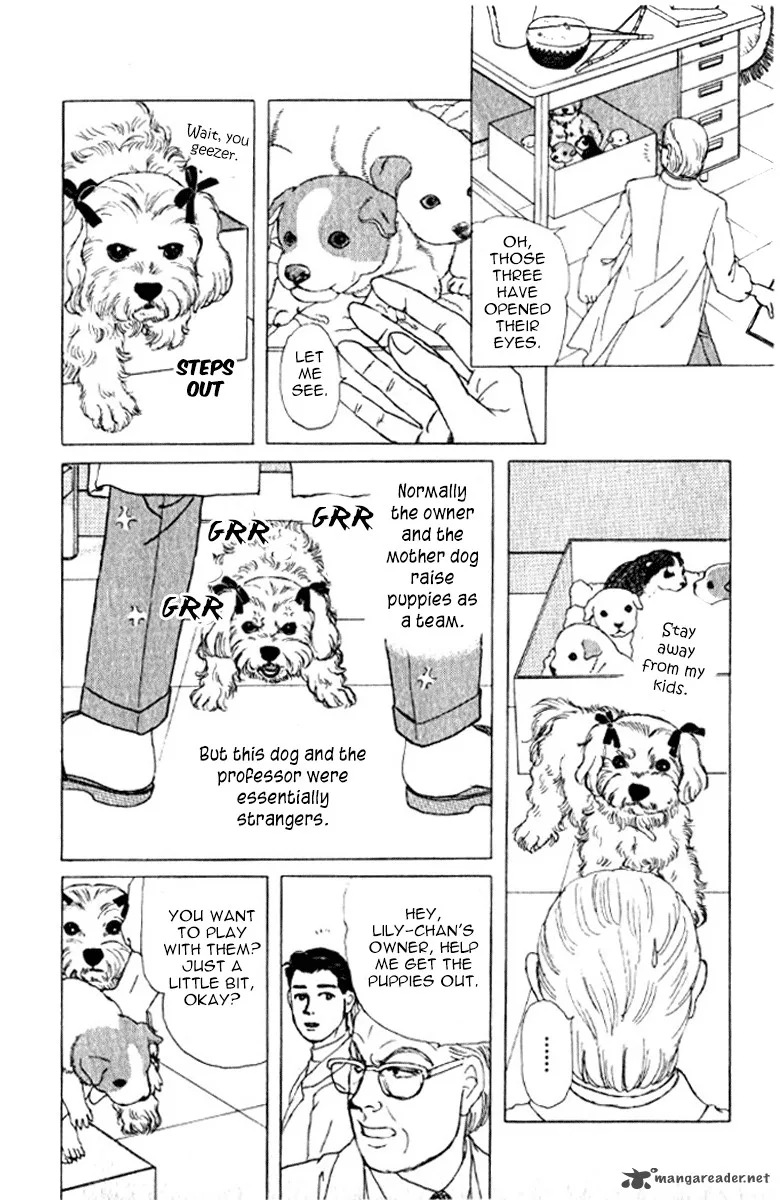 Doubutsu no Oishasan Chapter 72 page 19
