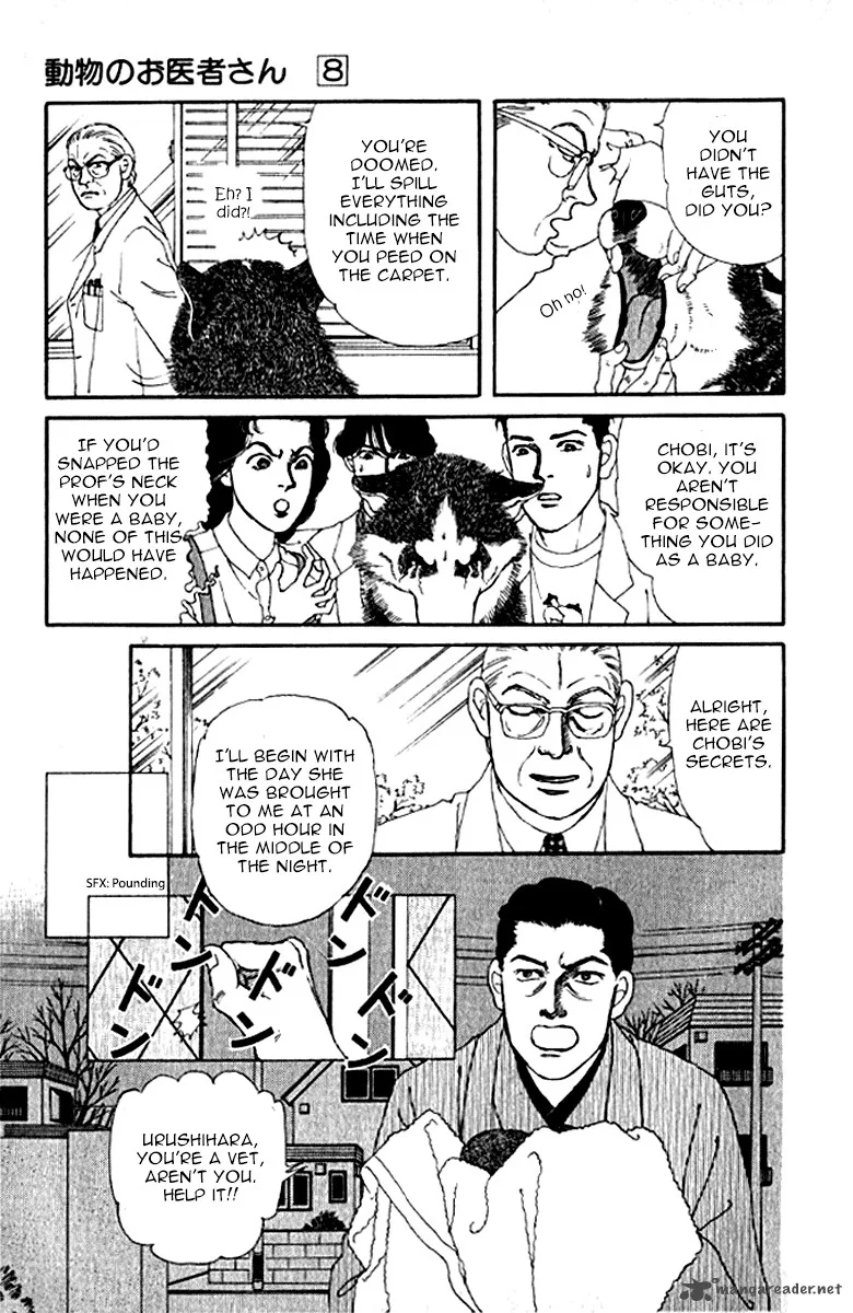 Doubutsu no Oishasan Chapter 72 page 12