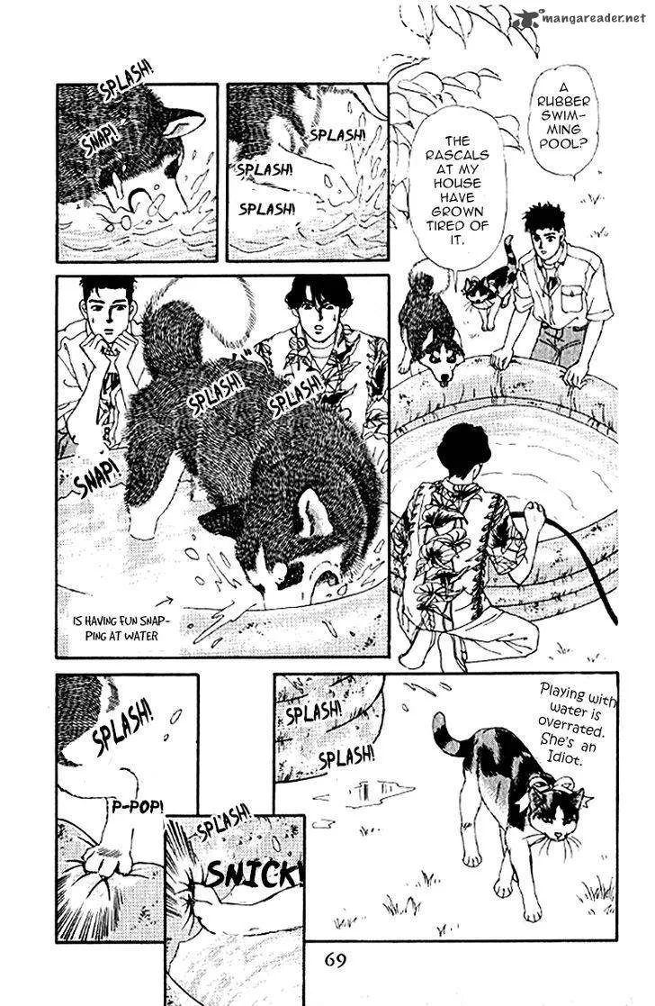 Doubutsu no Oishasan Chapter 75 page 5