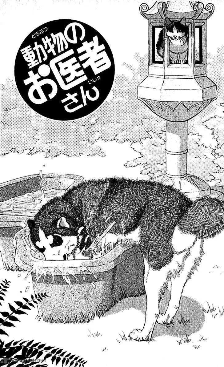 Doubutsu no Oishasan Chapter 75 page 3