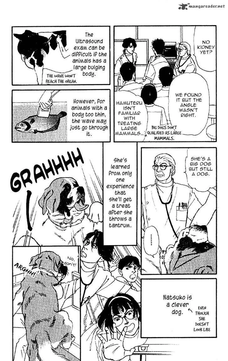 Doubutsu no Oishasan Chapter 76 page 10