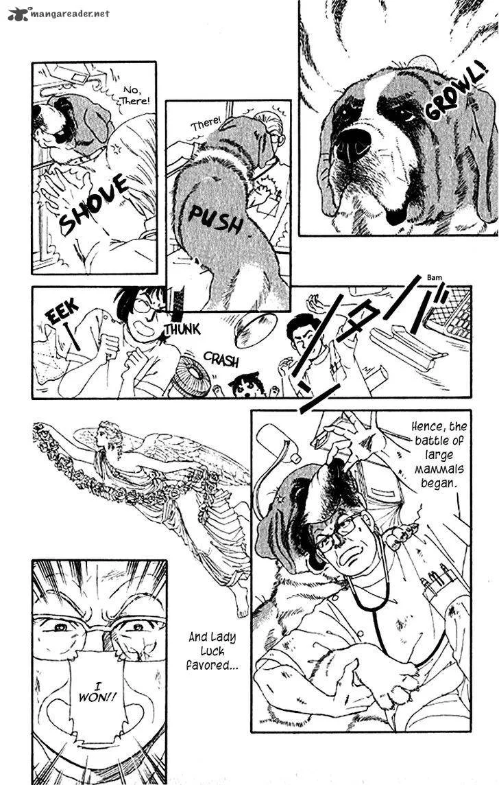 Doubutsu no Oishasan Chapter 76 page 14