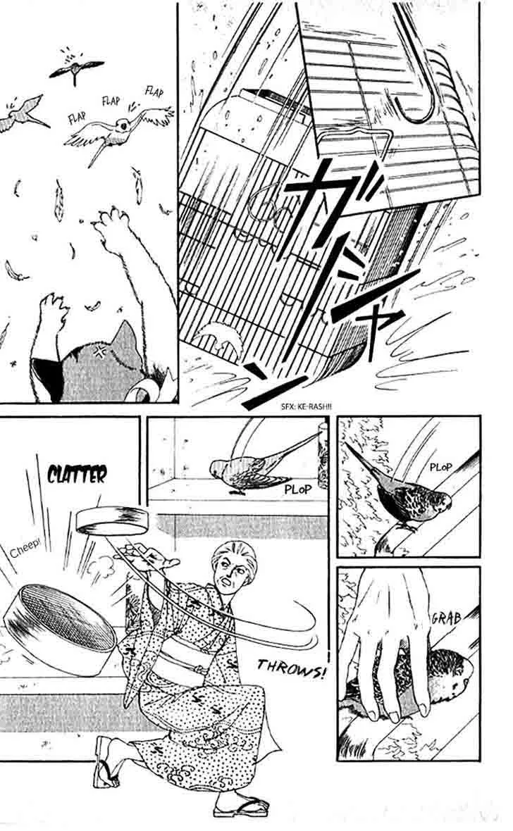 Doubutsu no Oishasan Chapter 78 page 15