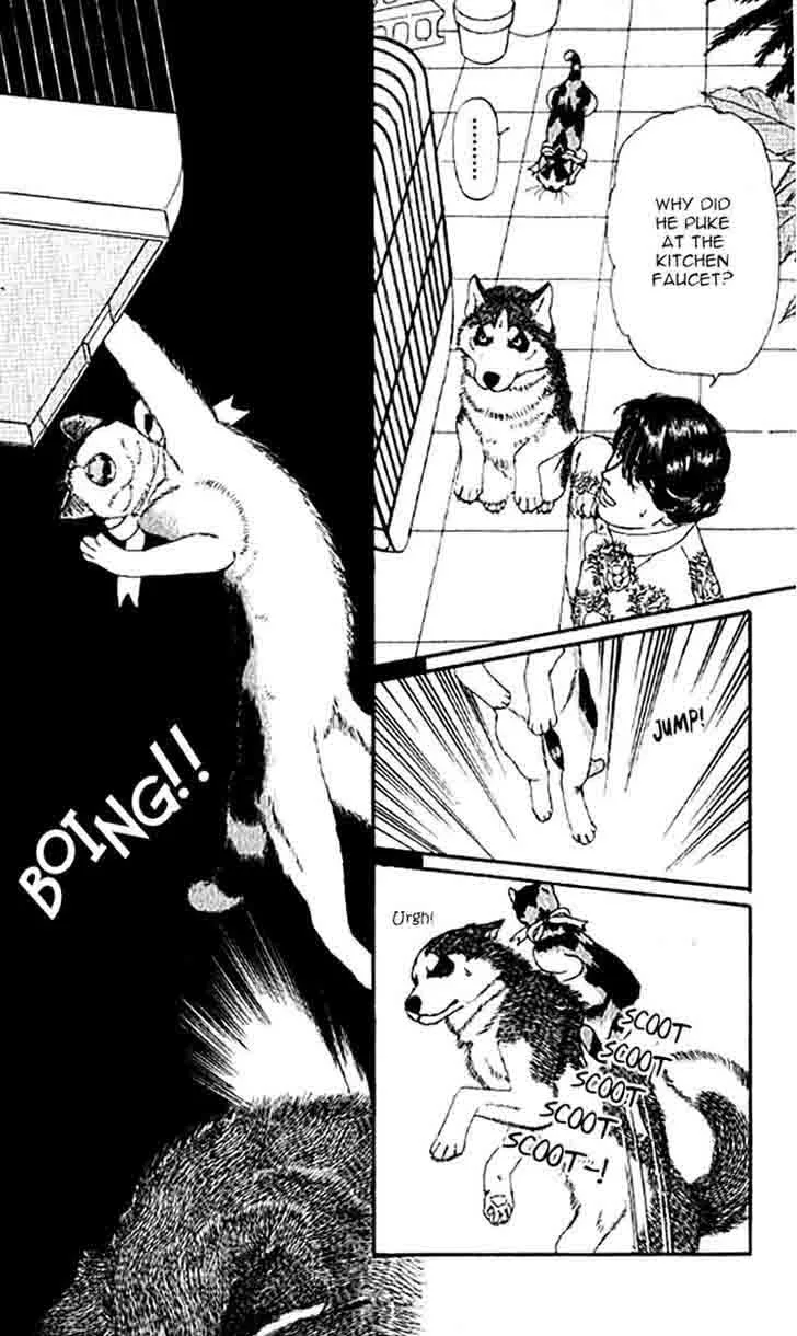 Doubutsu no Oishasan Chapter 78 page 14