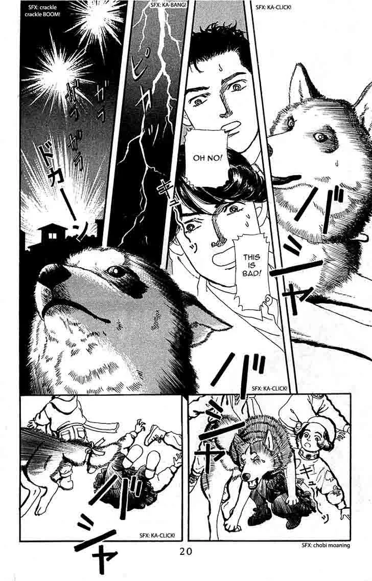 Doubutsu no Oishasan Chapter 81 page 17