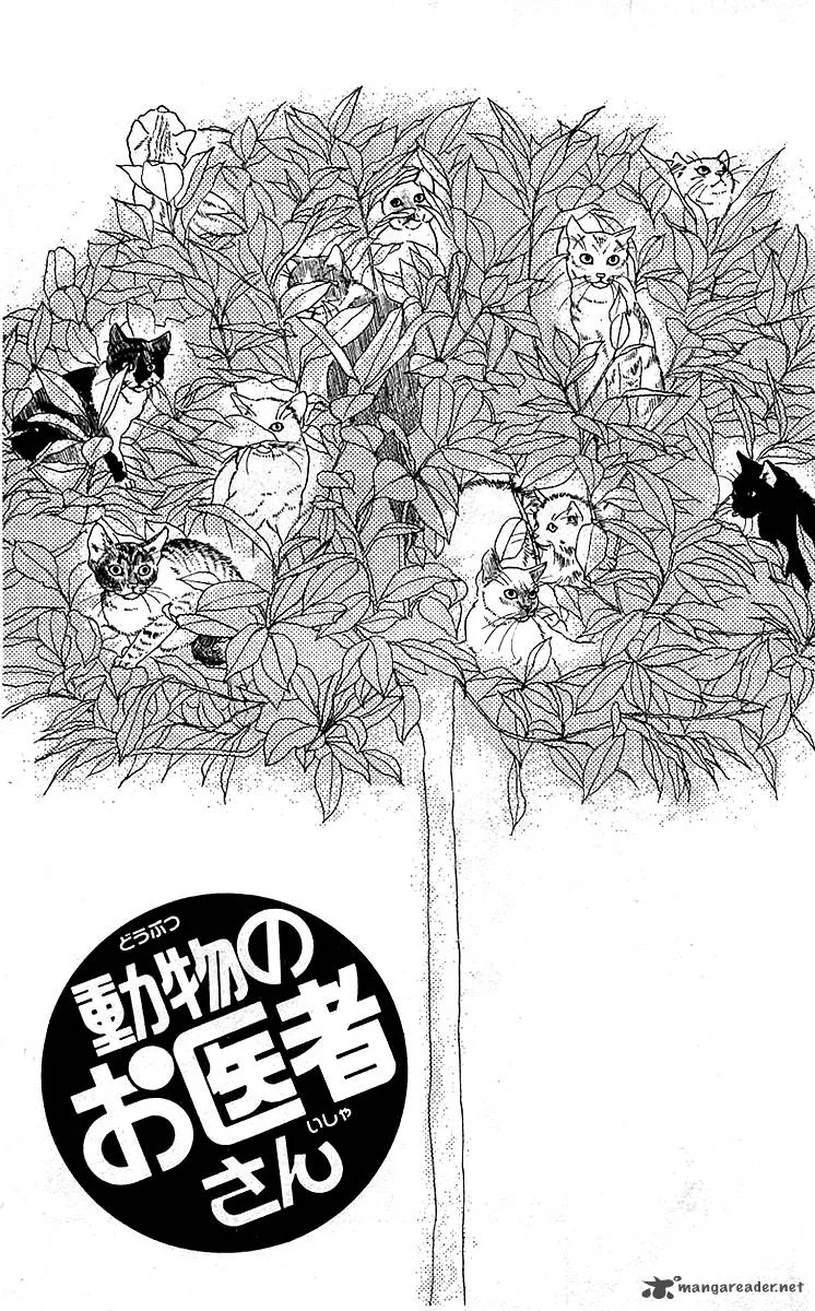Doubutsu no Oishasan Chapter 82 page 3