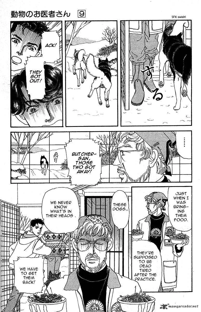 Doubutsu no Oishasan Chapter 84 page 7