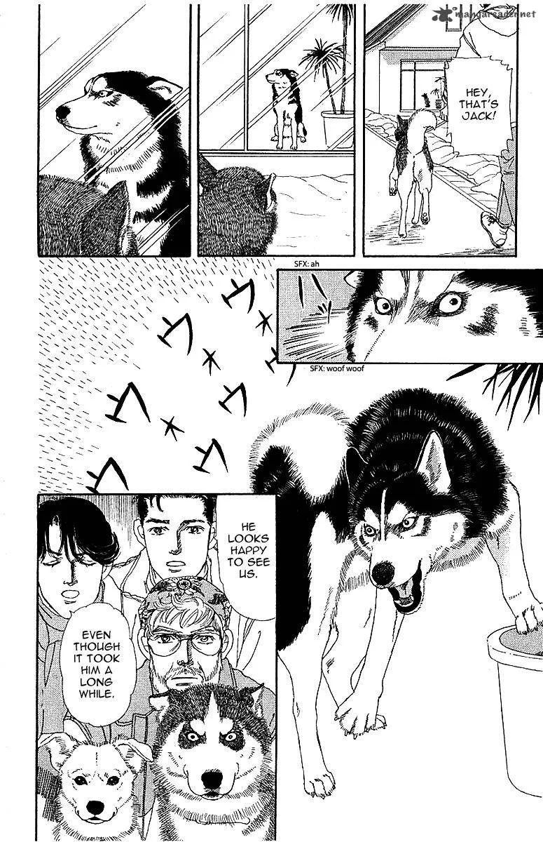 Doubutsu no Oishasan Chapter 84 page 16