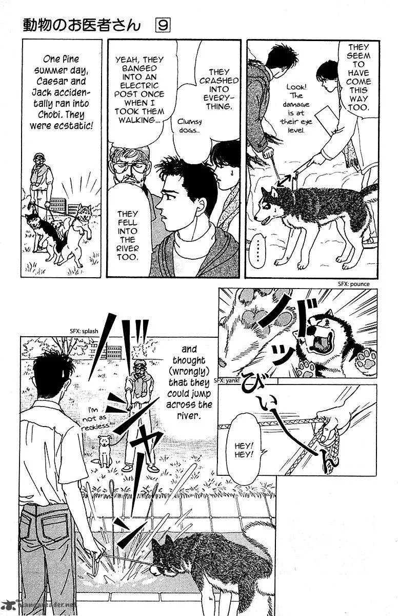 Doubutsu no Oishasan Chapter 84 page 11