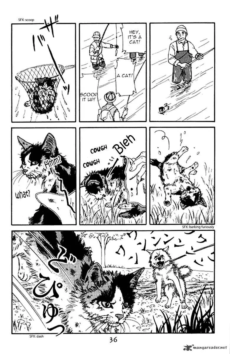 Doubutsu no Oishasan Chapter 92 page 15