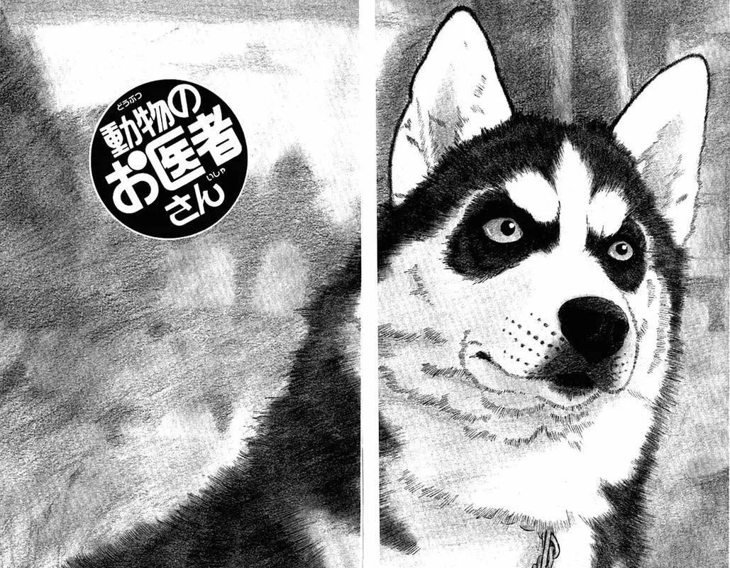 Doubutsu no Oishasan Chapter 93 page 3