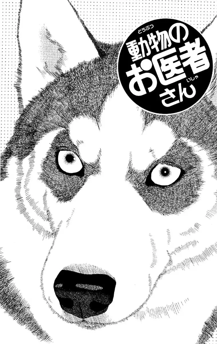 Doubutsu no Oishasan Chapter 97 page 2