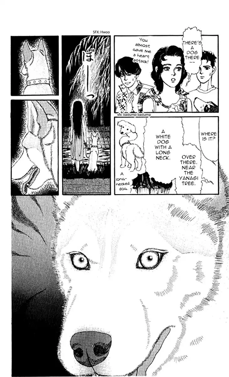 Doubutsu no Oishasan Chapter 97 page 5