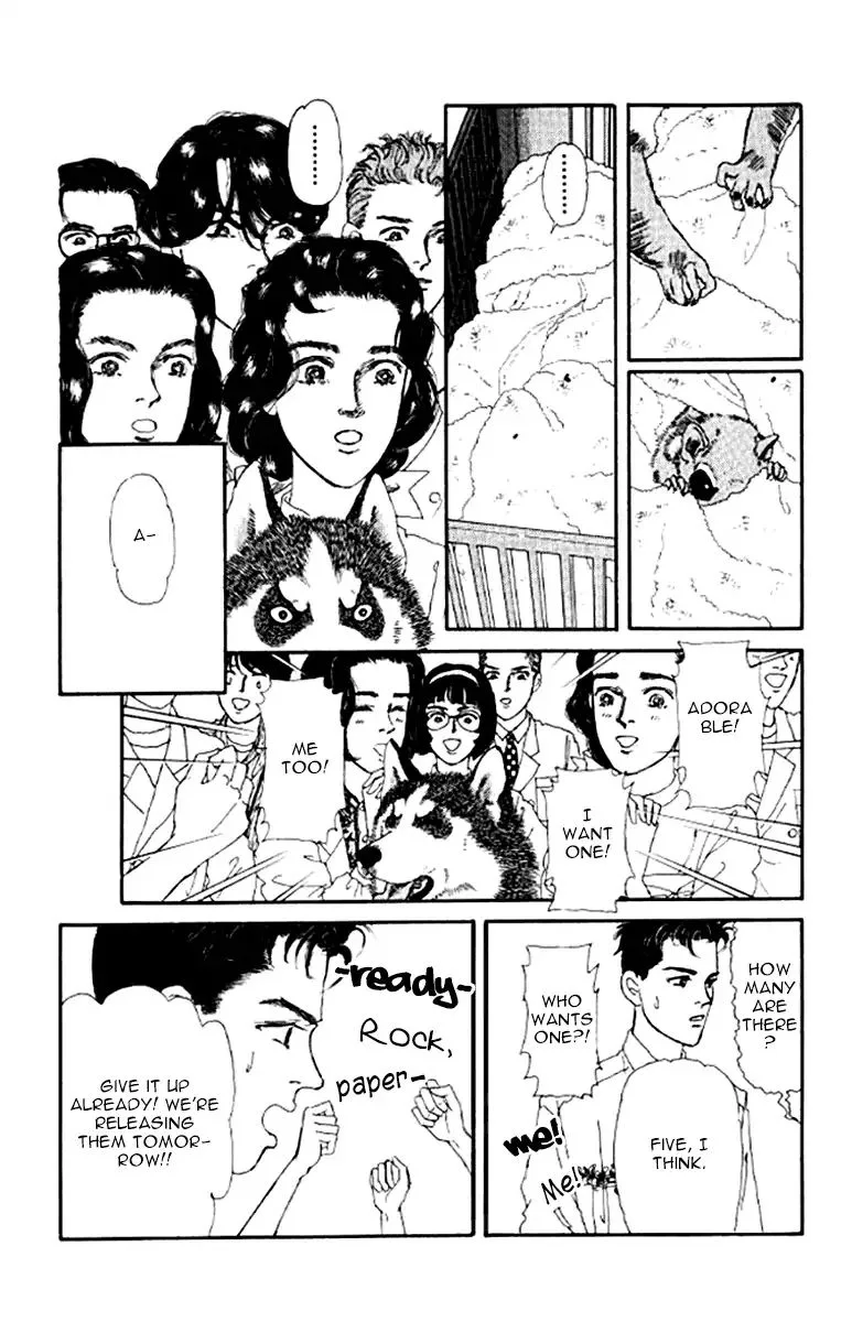 Doubutsu no Oishasan Chapter 98 page 5
