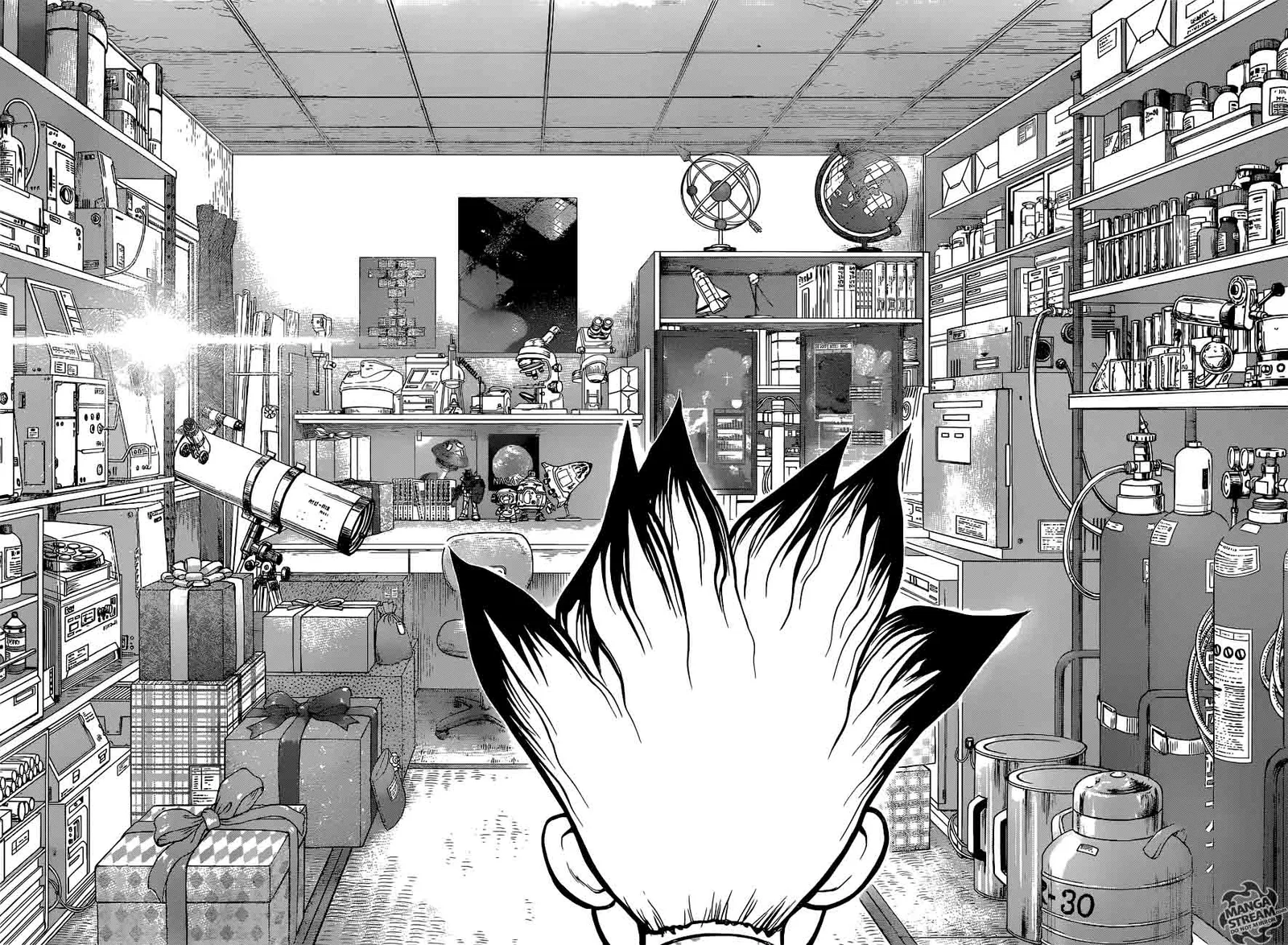 Dr. Stone Chapter 10 page 4
