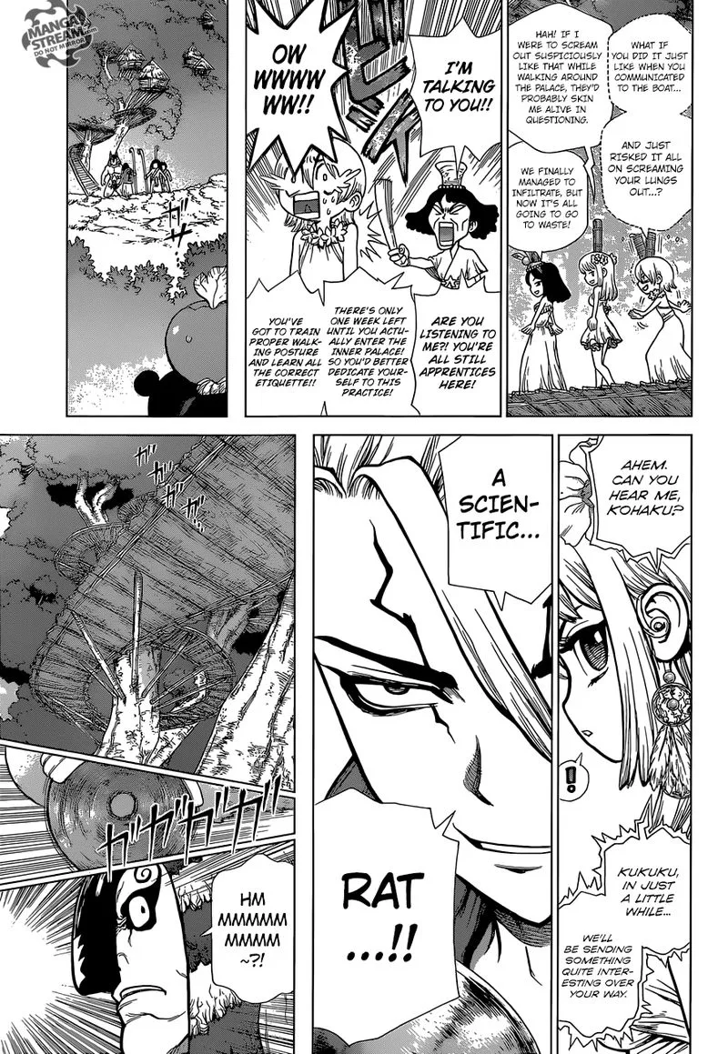 Dr. Stone Chapter 113 page 3