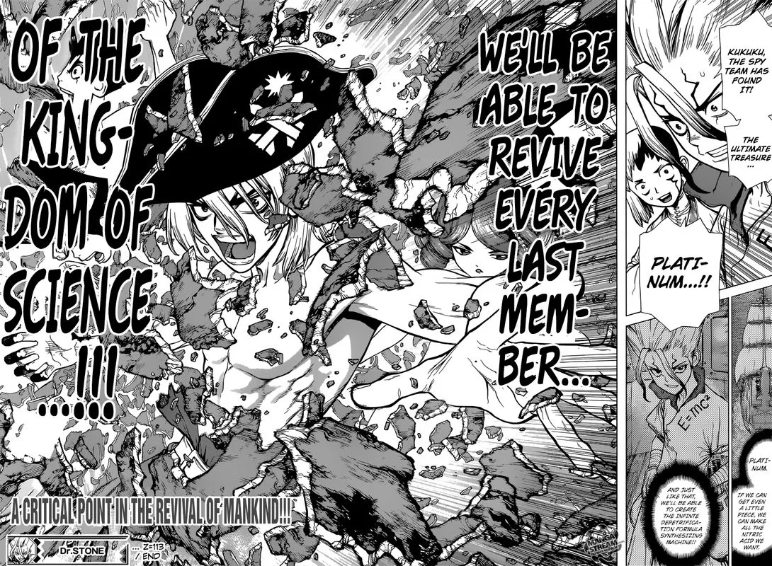 Dr. Stone Chapter 113 page 17