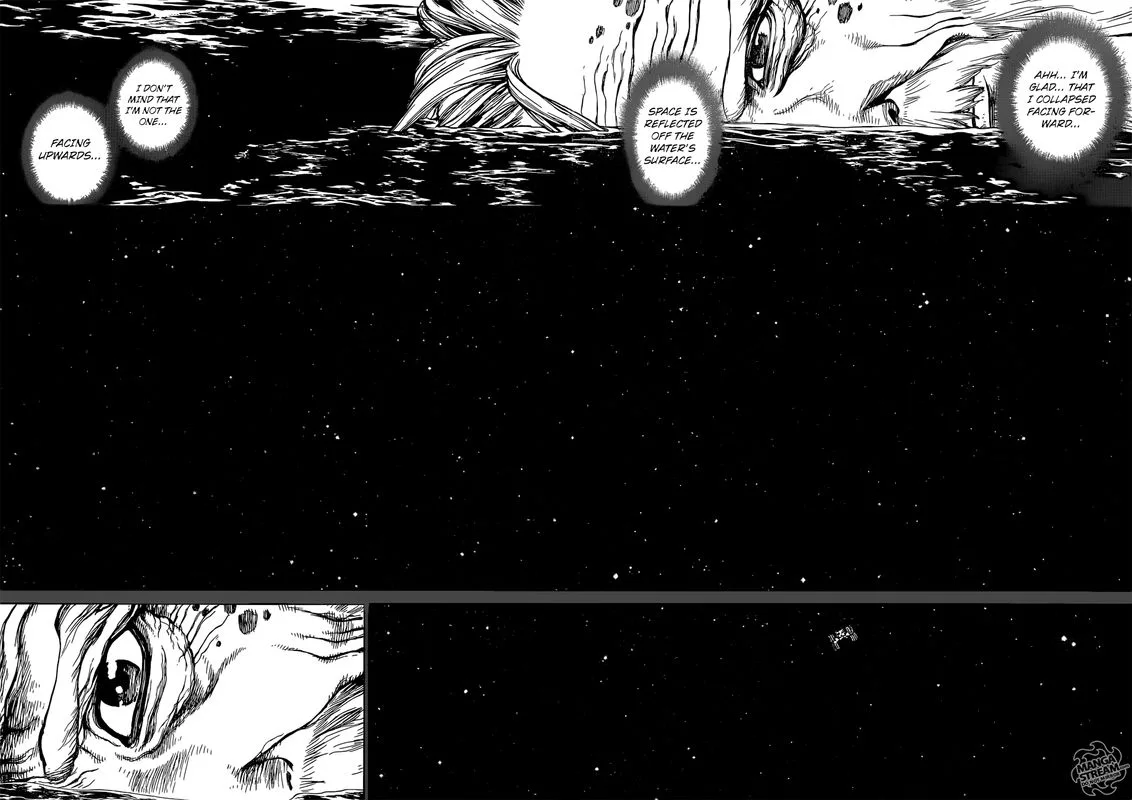 Dr. Stone Chapter 115 page 15