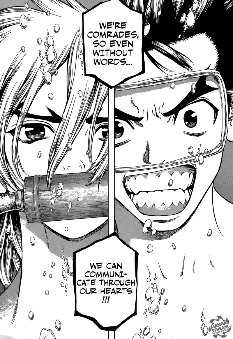 Dr. Stone Chapter 118 page 14
