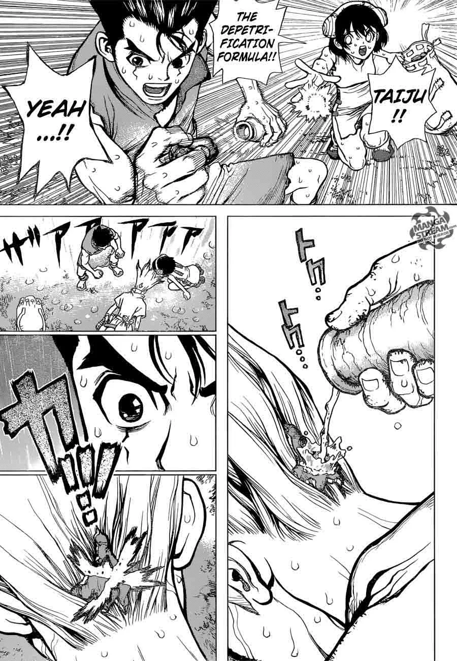 Dr. Stone Chapter 12 page 13
