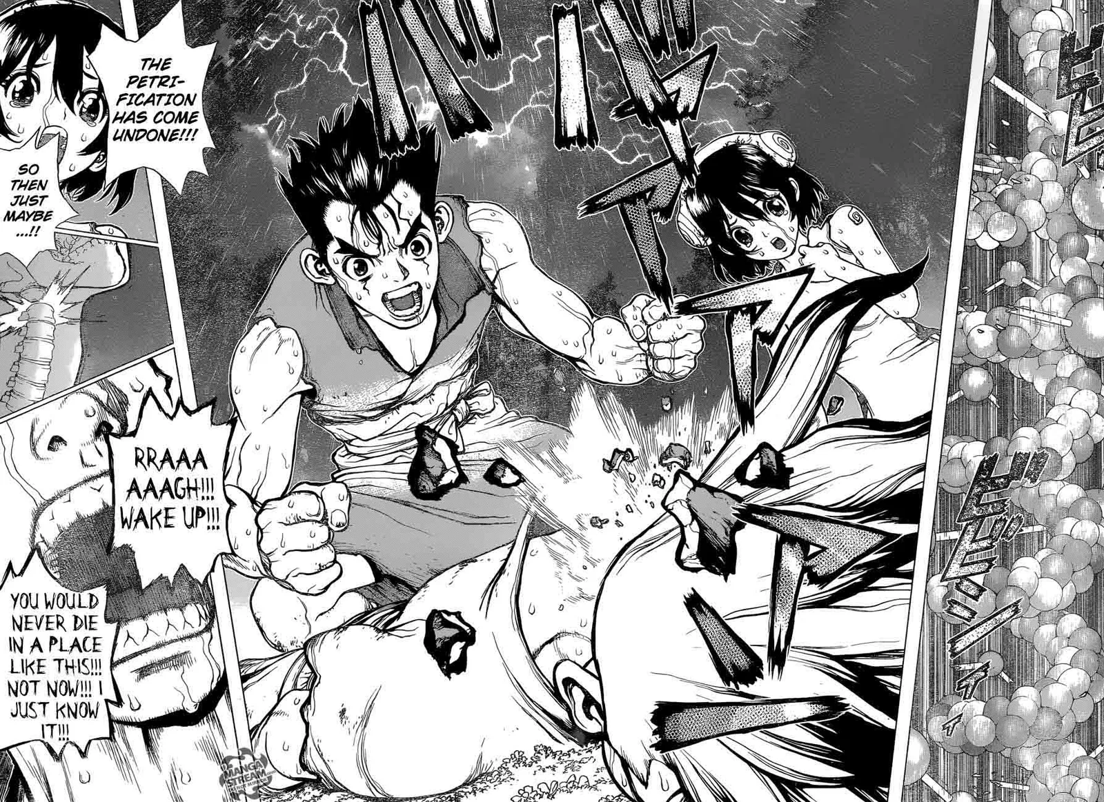 Dr. Stone Chapter 12 page 14