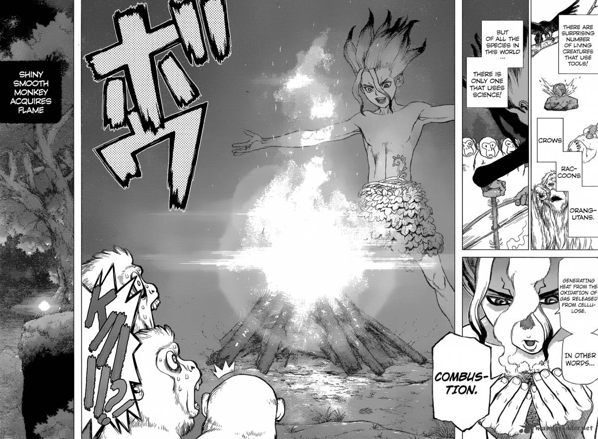 Dr. Stone Chapter 13 page 15