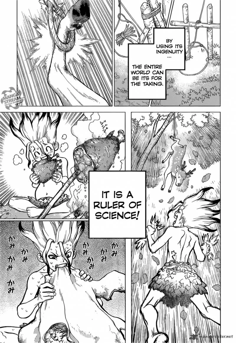 Dr. Stone Chapter 13 page 17