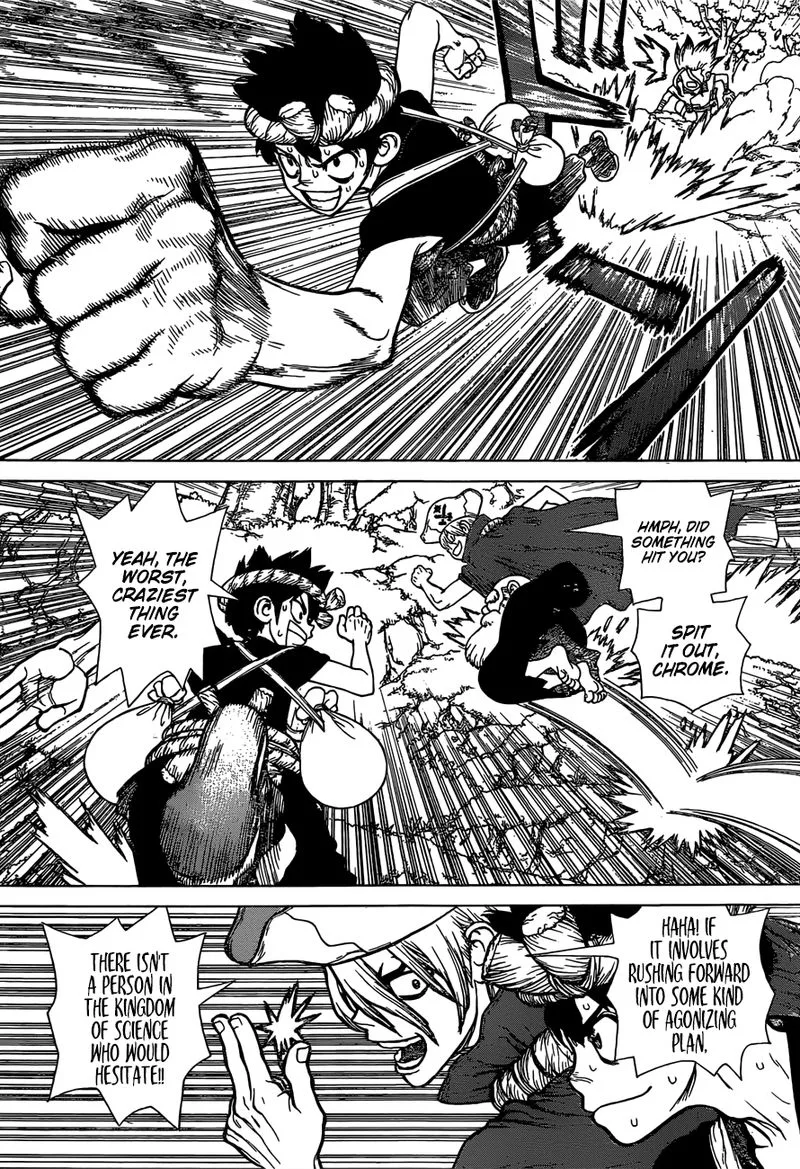 Dr. Stone Chapter 133 page 11