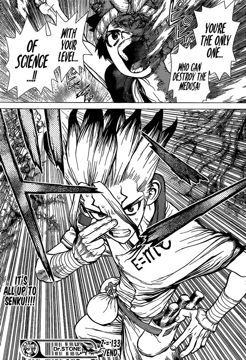 Dr. Stone Chapter 133 page 17