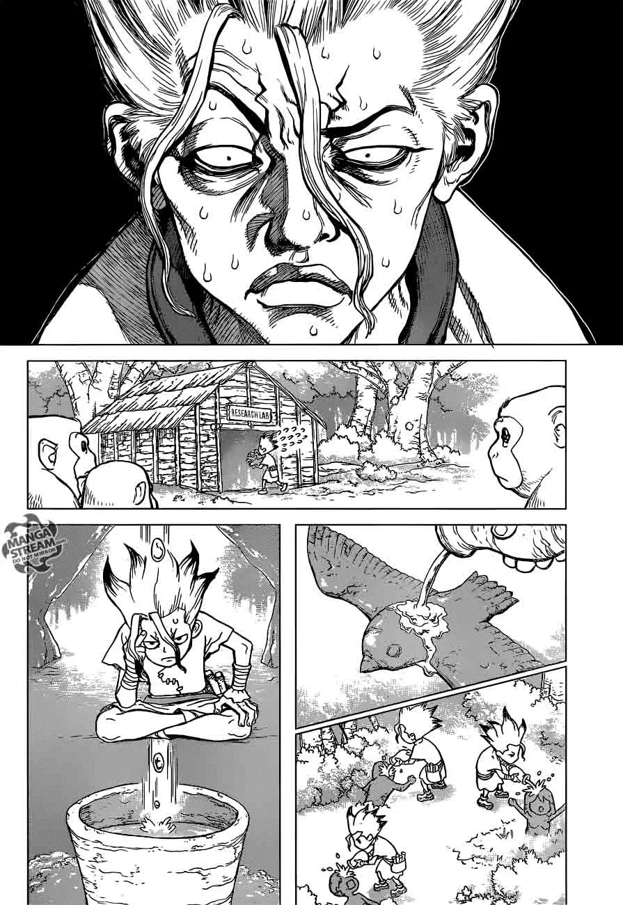 Dr. Stone Chapter 14 page 11