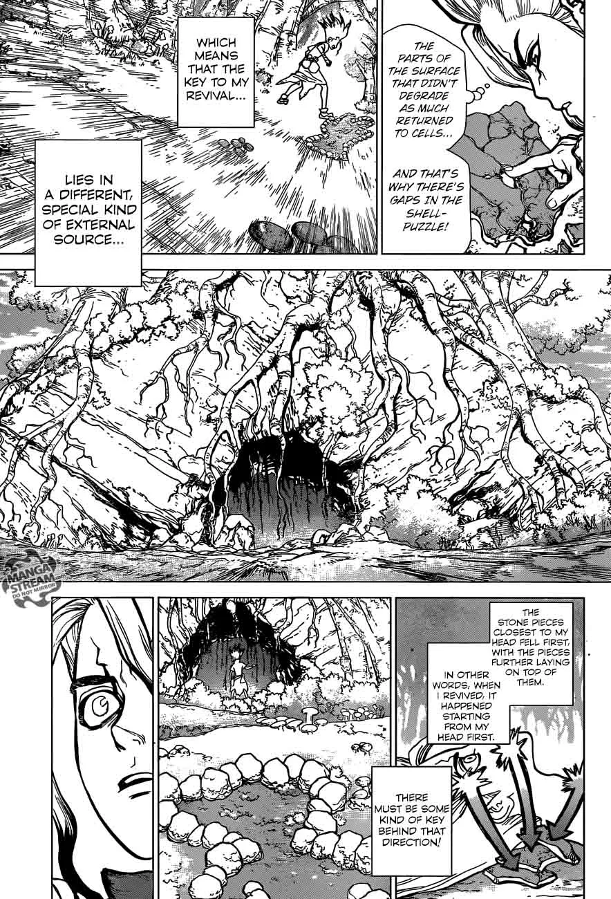 Dr. Stone Chapter 14 page 8