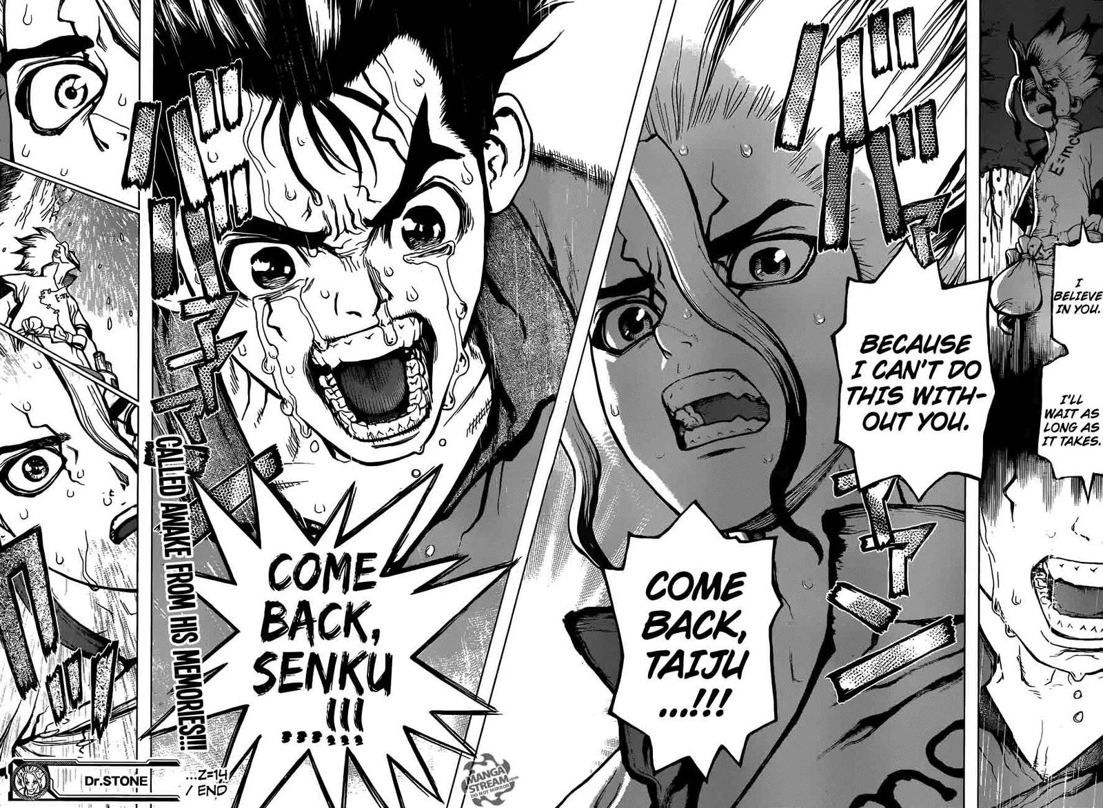 Dr. Stone Chapter 14 page 17