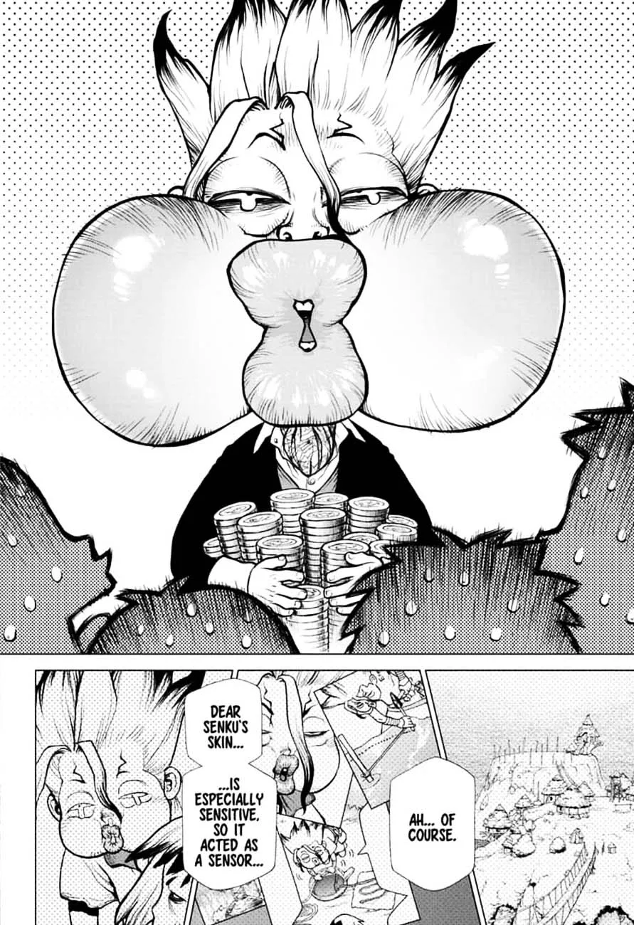 Dr. Stone Chapter 144 page 18