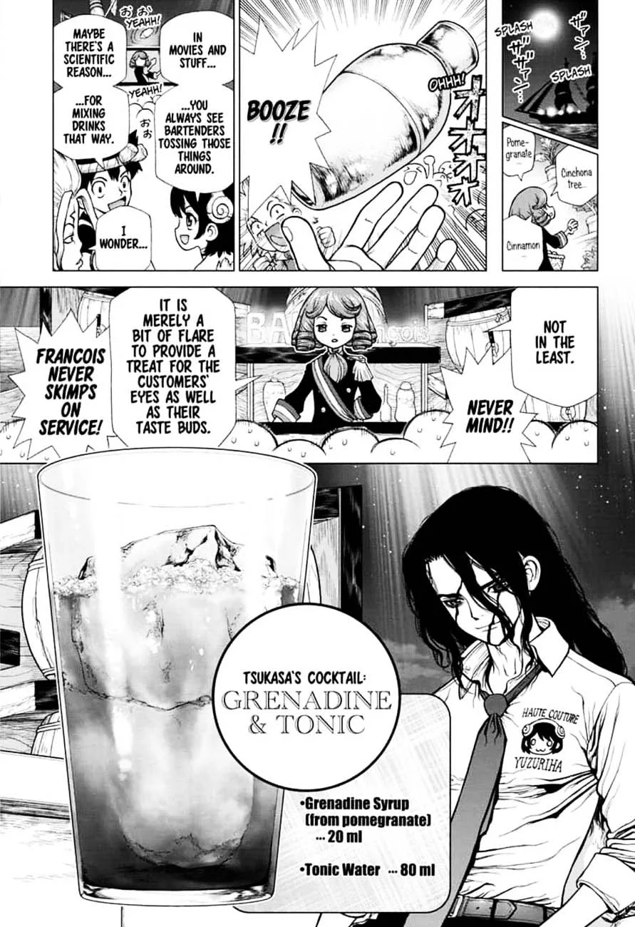 Dr. Stone Chapter 145 page 11