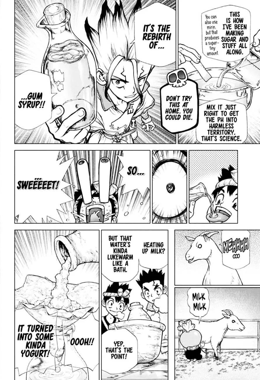Dr. Stone Chapter 145 page 6