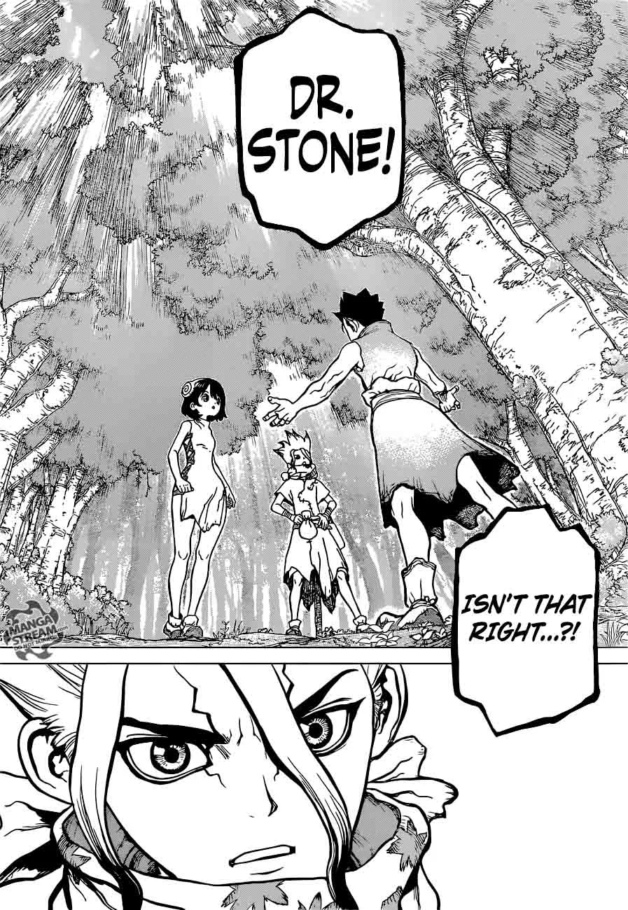 Dr. Stone Chapter 15 page 8