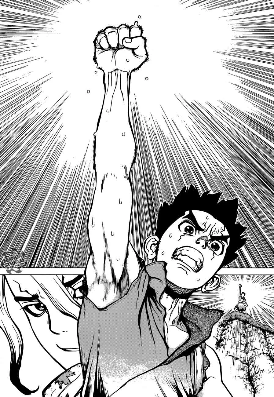 Dr. Stone Chapter 15 page 17