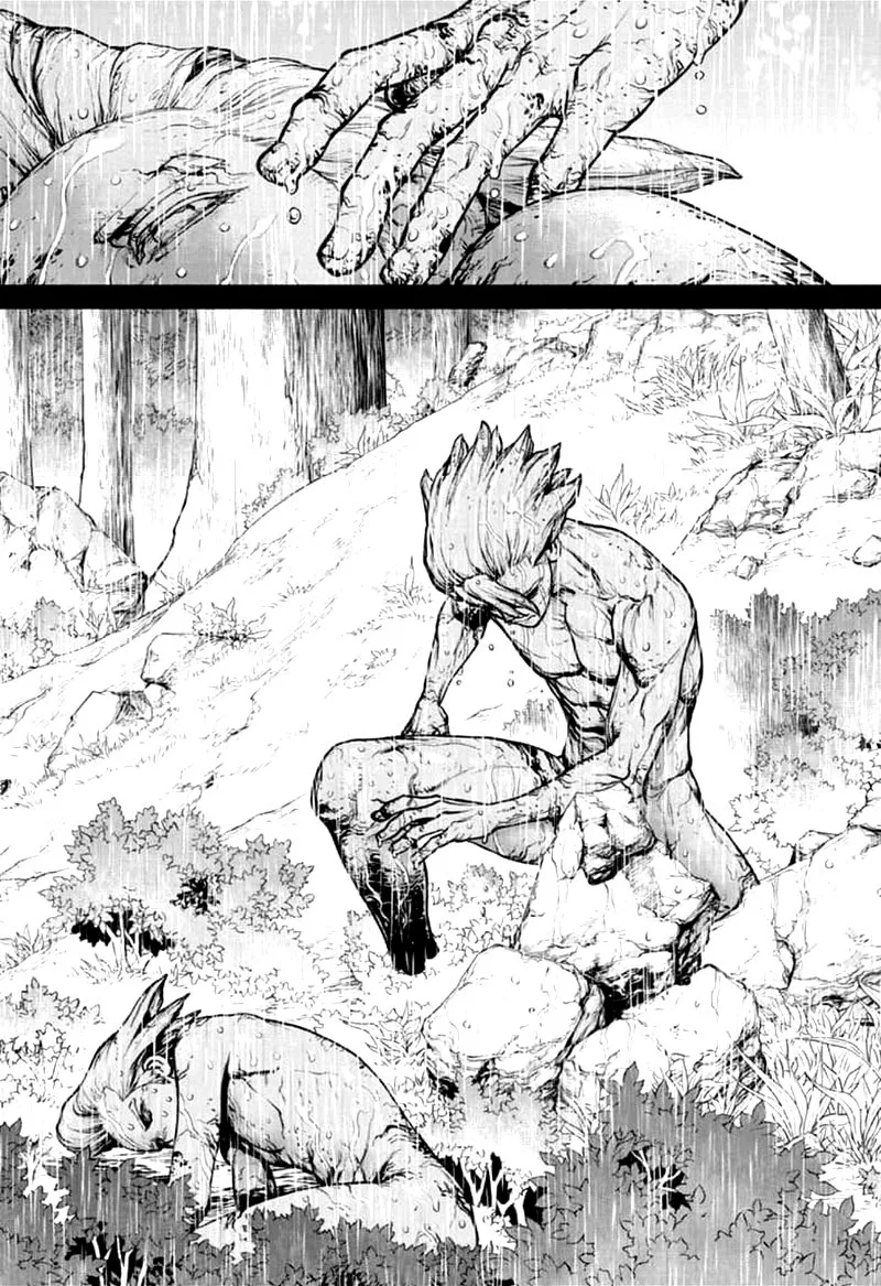 Dr. Stone Chapter 157 page 13