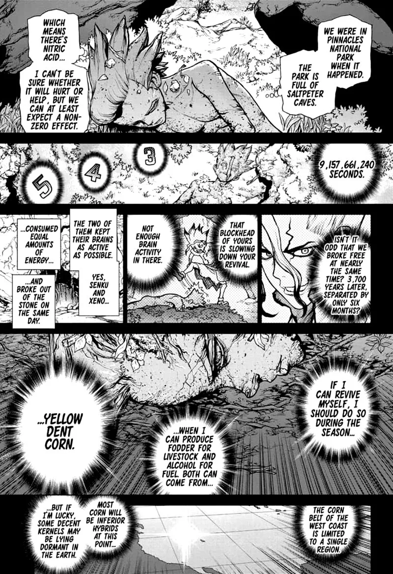 Dr. Stone Chapter 157 page 14