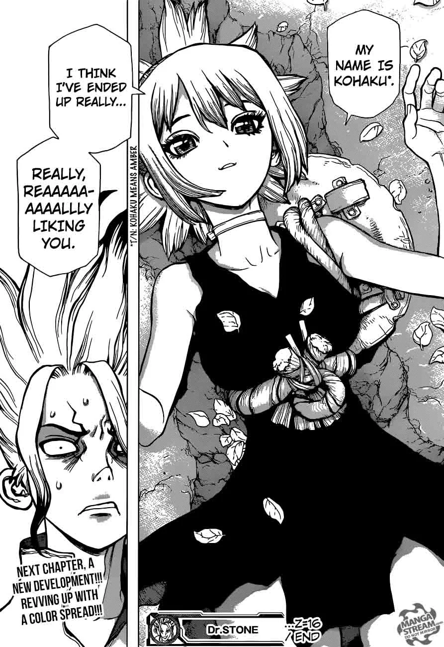 Dr. Stone Chapter 16 page 17