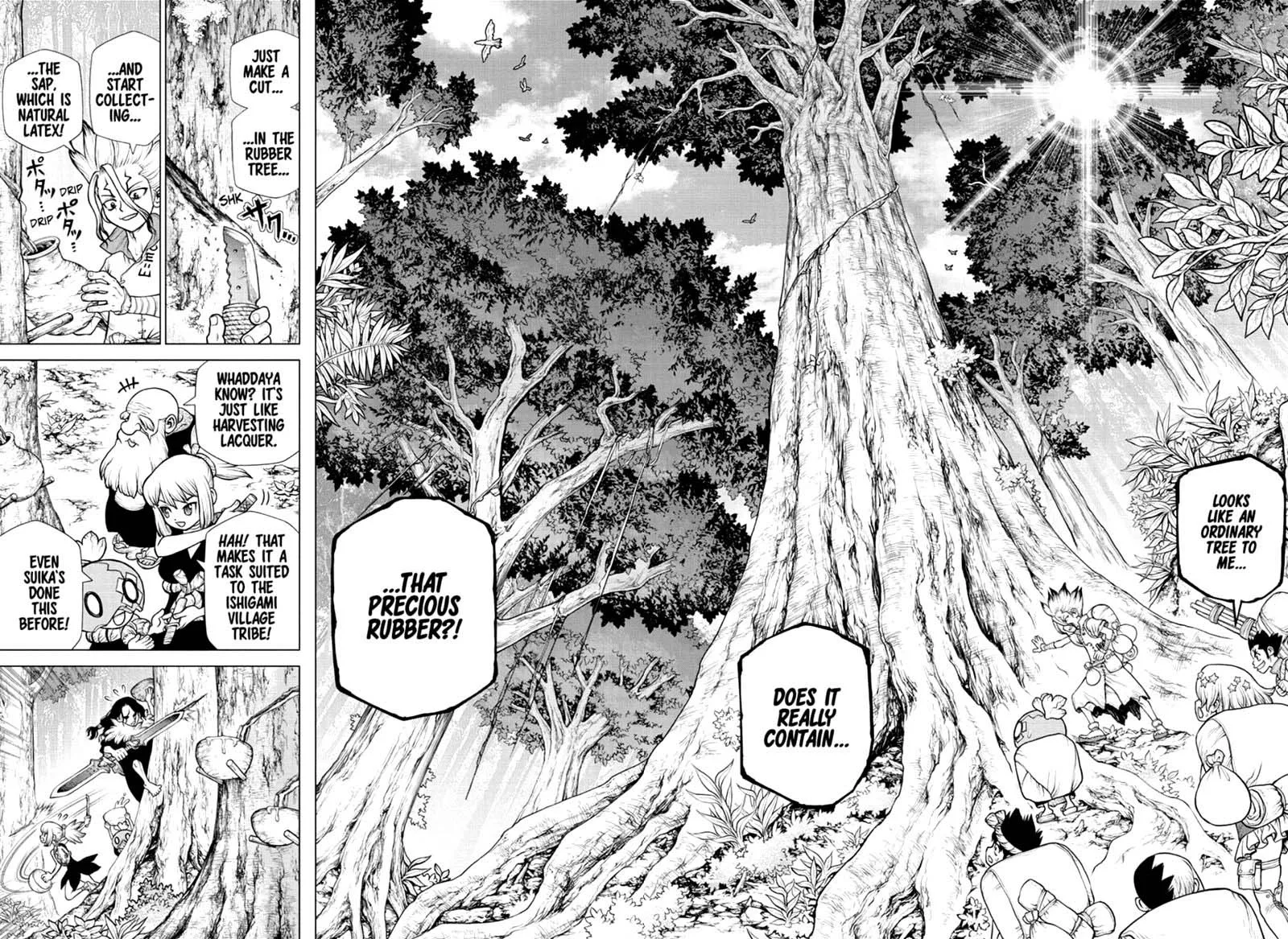 Dr. Stone Chapter 174 page 11
