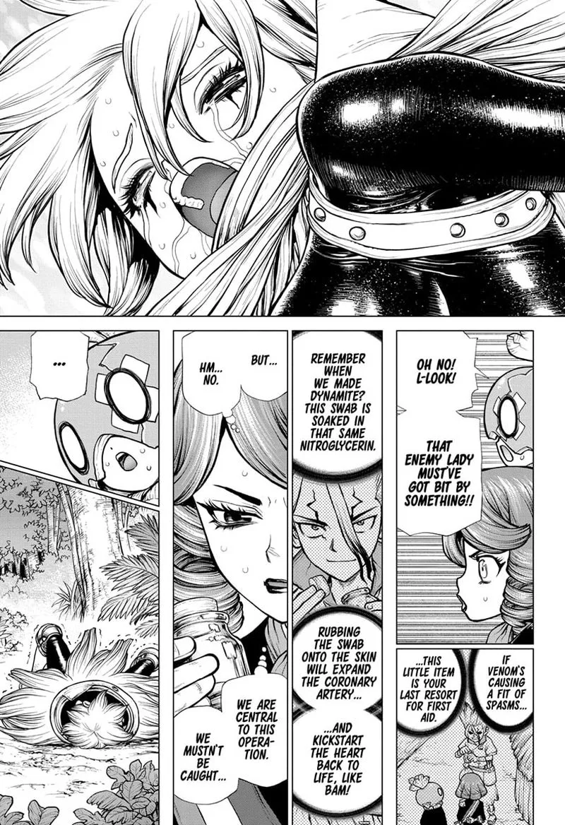Dr. Stone Chapter 185 page 14