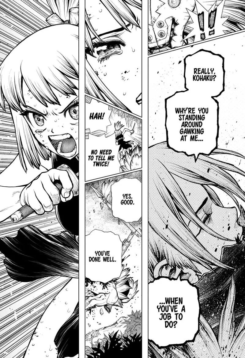 Dr. Stone Chapter 188 page 11