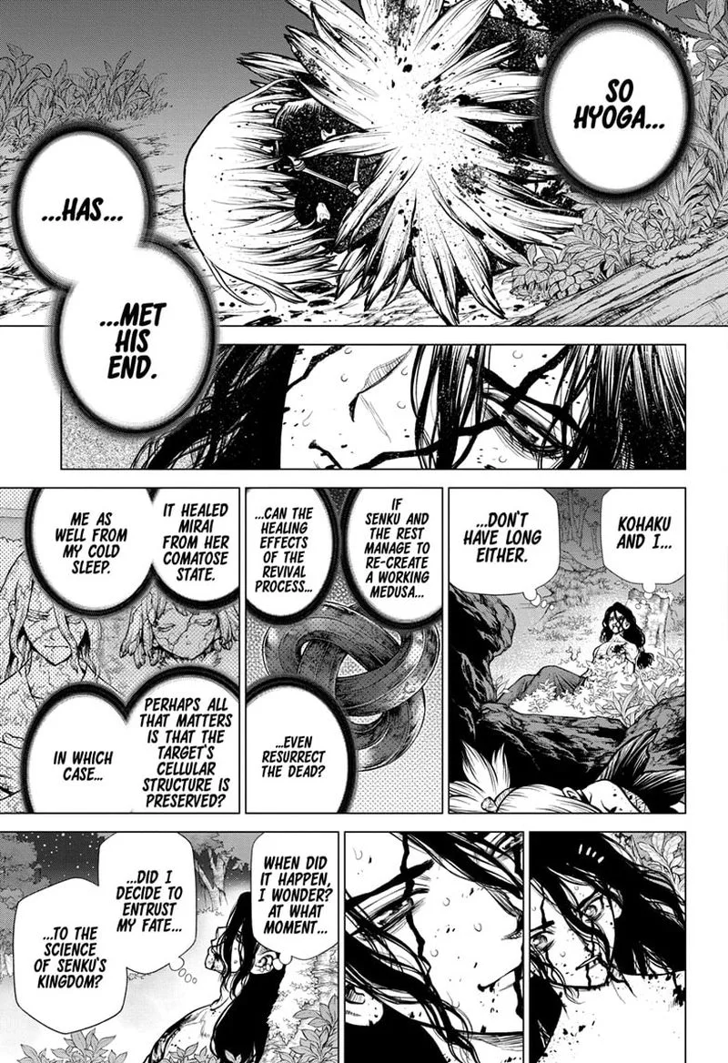 Dr. Stone Chapter 188 page 14