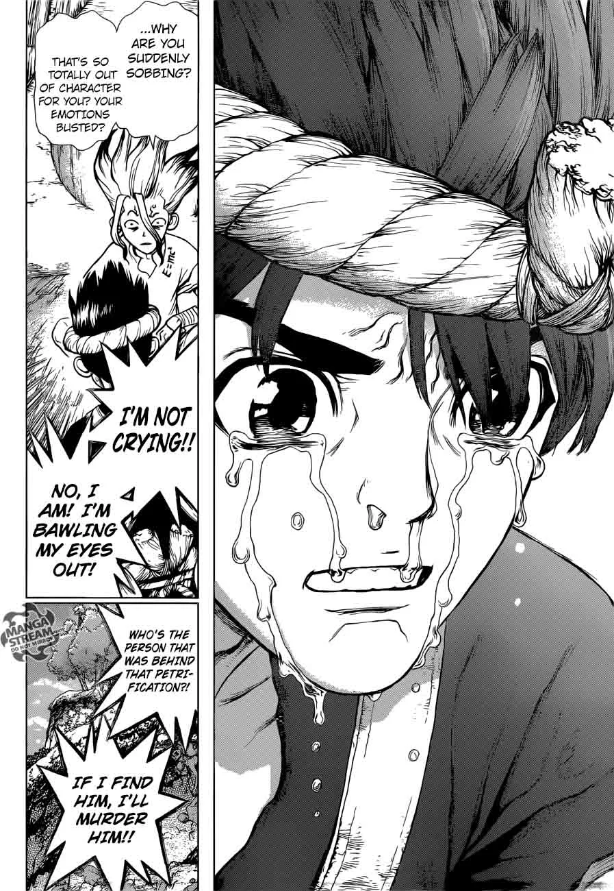 Dr. Stone Chapter 19 page 14