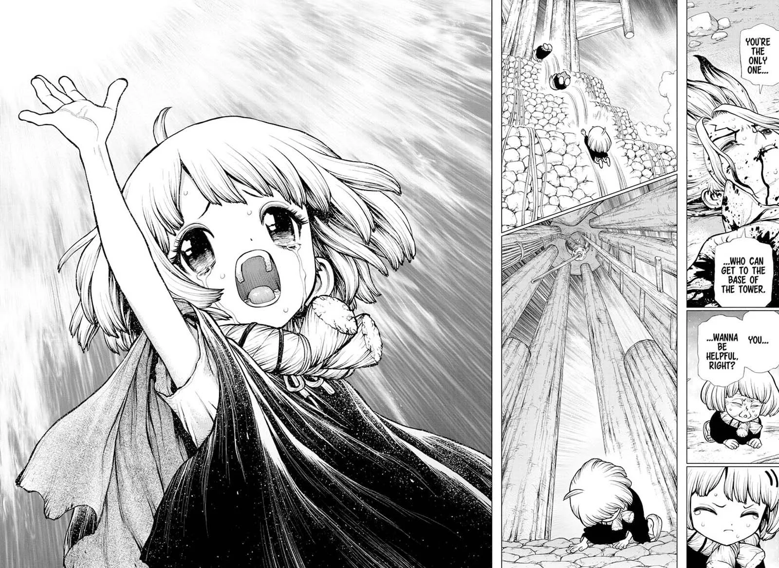 Dr. Stone Chapter 192 page 15