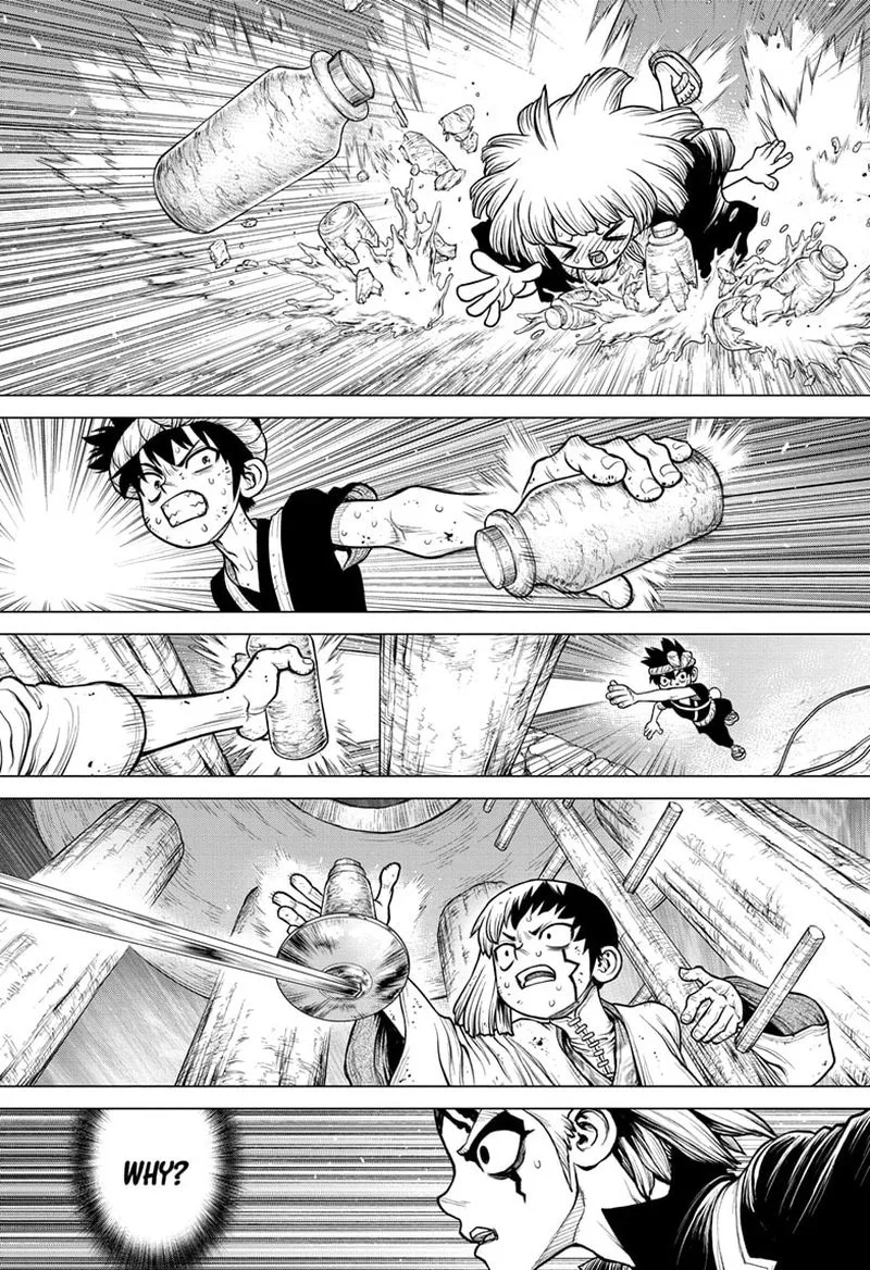 Dr. Stone Chapter 192 page 12
