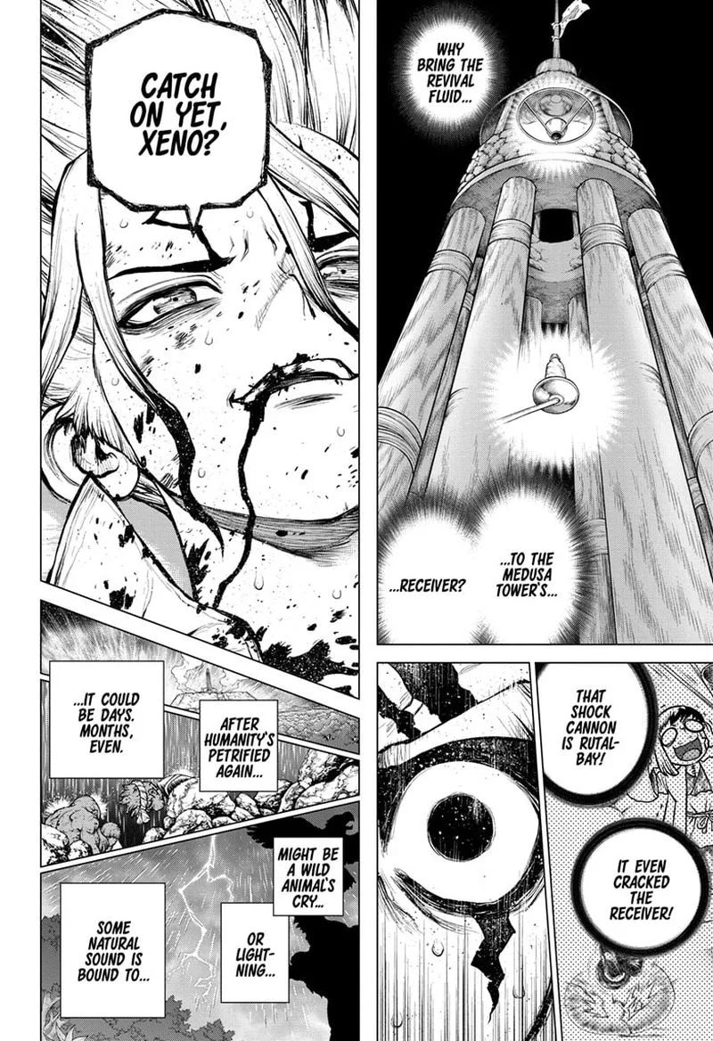 Dr. Stone Chapter 192 page 13