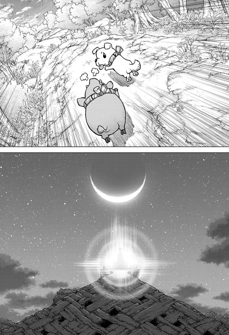 Dr. Stone Chapter 193 page 14